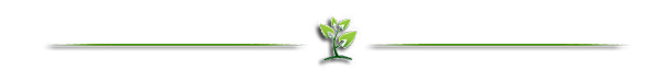 hr tree Ardy